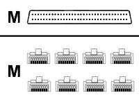 Cisco
CAB-OCTAL-ASYNC=
Cable/Lead Octal DB60>8xRJ45 Male