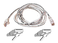 Belkin
A3L980B01M-WHTS
Cable/Patch Cat6 RJ45 Snagless White 1m