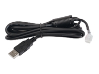 Apc
AP9827
Cable/USB Akeyed 10p10c RJ w/Core