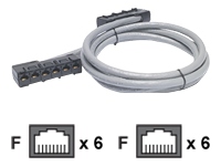 Apc
DDCC5E-025
Cable/CAT5E UTP CMR Grey 7.6m