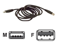 Belkin
F3U134B10
Cable/USB A-A Device Bagged 3m