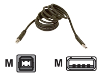 Belkin
F3U133R1.8M
Cable/A>B 1.8m USB Dev