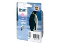 Epson
C13T55964010
Ink Cart/light mag Stylus Phot RX700