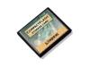 Kingston - Flash memory card - 8 MB - CompactFlash Card