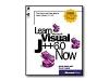 Learn Microsoft Visual J++ 6.0 Now - reference book - CD - English