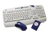 Labtec Wireless Desktop - Keyboard - wireless - RF - mouse - PS/2 wireless receiver