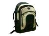 Targus Backpack - Notebook carrying case - stone