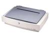 Epson Expression 1640XL - Flatbed scanner - A3 - 1600 dpi x 3200 dpi - Fast SCSI / USB