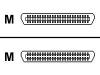Adaptec ACK L2L - SCSI external cable - 50 PIN Centronics (M) - 50 PIN Centronics (M) - 1 m