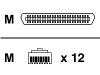 Enterasys - Network cable - 50 PIN Telco (M) - RJ-45 (M) - 5 m - UTP - ( CAT 5 )