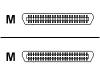 Enterasys - Network cable - 50 PIN Telco (M) - 50 PIN Telco (M) - 10 m - UTP - ( CAT 5 )