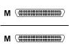 Enterasys - Network cable - 50 PIN Telco (M) - 50 PIN Telco (M) - 10 m - UTP - ( CAT 5 )