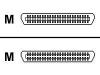 Origin Storage - SCSI external cable - 50 PIN Centronics (M) - 50 PIN Centronics (M) - 1 m