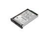 Origin Storage - Hard drive - 30 GB - 4200 rpm
