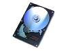 Excelstor Jupiter J360 - Hard drive - 60 GB - internal - 3.5