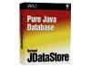 JDataStore Server Development License - ( v. 4 ) - licence - 1 server, unlimited users - Linux, Win, Solaris - English