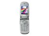 Samsung SGH S100 - Cellular phone - GSM - silver