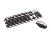 Compaq Easy Access Wireless Keyboard and Mouse - Keyboard - wireless - RF - mouse - USB wireless receiver - silver, carbon