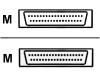 Nortel - Cascade cable - DB-37 (M) - DB-37 (M) - 46 cm - shielded
