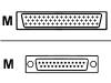Cisco - Serial cable - DB-50 (M) - DB-25 (M)