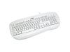 Labtec Standard Keyboard - Keyboard - PS/2