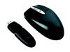 Fellowes Cordless Notebook Mini Optical - Mouse - optical - 3 button(s) - wireless - RF - USB wireless receiver