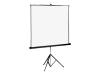 Projecta Professional Matte white - Projection screen - matt white