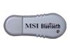 MSI BToes - Network adapter - USB - Bluetooth