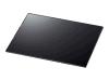 Eizo FP 702 - Display screen protector - 19