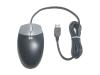 HP USB Optical Scroll Mouse - Mouse - optical - 3 button(s) - wired - silver, carbon