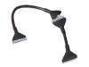 Belkin Internal IDE Dual Hard Drive Ribbon Cable - IDE / EIDE cable - UDMA 66/100/133 - 40 PIN IDC (F) - 40 PIN IDC (F) - 61 cm - rounded - black