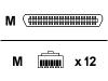 Enterasys - Network cable - RJ-21 Telco (M) - RJ-45 (M)