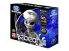 Sapphire RADEON 9800 XT - Graphics adapter - Radeon 9800 XT - AGP 8x - 256 MB DDR - Digital Visual Interface (DVI) - TV out - retail