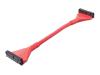 Belkin Round Floppy Single-Drive Cable - Floppy cable - 34 PIN IDC (F) - 34 PIN IDC (F) - 25.4 cm - rounded - red
