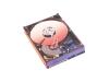 WD Caviar WD1600JD Special Edition - Hard drive - 160 GB - 3.5