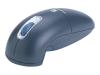 Gyration Ultra Cordless Optical Mouse - Mouse - optical / gyroscopic - wireless - RF - USB wireless receiver