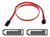 Belkin - Serial ATA / SAS cable - 7 pin Serial ATA - 7 pin Serial ATA - 61 cm