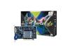 XFX GeForce FX 5700LE - Graphics adapter - GF FX 5700LE - AGP 8x - 256 MB DDR - Digital Visual Interface (DVI) - TV out