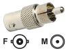 StarTech.com - Video / audio adaptor - RCA (M) - BNC (F) - coaxial