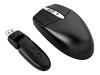 Fellowes Cordless Notebook Mini Mouse - Mouse - 3 button(s) - wireless - USB wireless receiver - metallic graphite