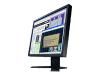 EIZO FlexScan L 768 - LCD display - TFT - 19