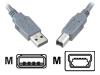 AESP - USB cable - 4 PIN USB Type A (M) - 4 PIN USB Type B (M) - 1 m - grey