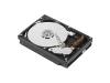 IBM - Hard drive - 80 GB - internal - 3.5