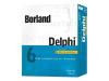 Delphi Professional Edition - ( v. 6.0 ) - upgrade licence - 5 users - Win - English