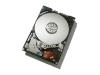 Hitachi Travelstar 5K100 - Hard drive - 100 GB - internal - 2.5