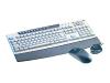 Cherry CyBo@rd Plus - Keyboard - wireless - RF - mouse - PS/2 wireless receiver - grey, black - Belgium