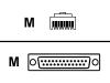 Cisco - Network cable - DB-25 (M) - RJ-45 (M) (pack of 8 )