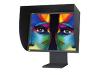 NEC SpectraView 2180 - LCD display - TFT - 21.3