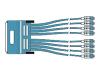 Cisco - Network adapter cable - 200 PIN Molex LFH (F) - DB-15 (F)