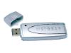 NETGEAR RangeMax Wireless USB 2.0 Adapter WPN111 - Network adapter - Hi-Speed USB - 802.11b, 802.11g